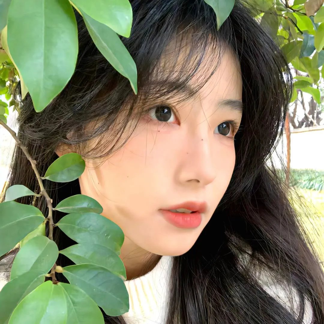 亚种2：血石
